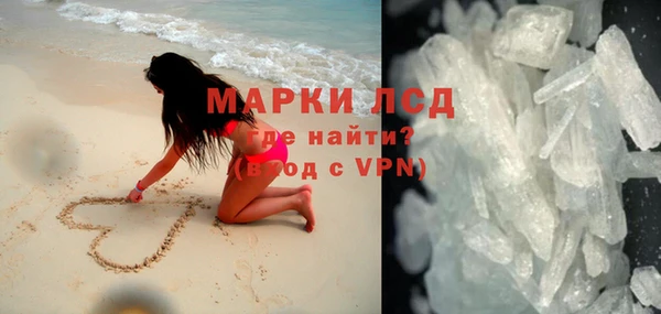 прущие грибы Нягань