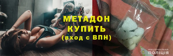 прущие грибы Нягань