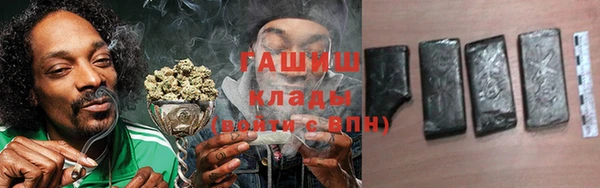 прущие грибы Нягань