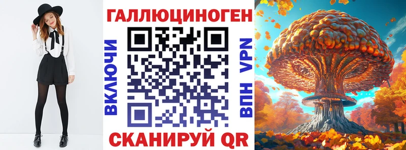 Псилоцибиновые грибы Psilocybine cubensis  Ейск 